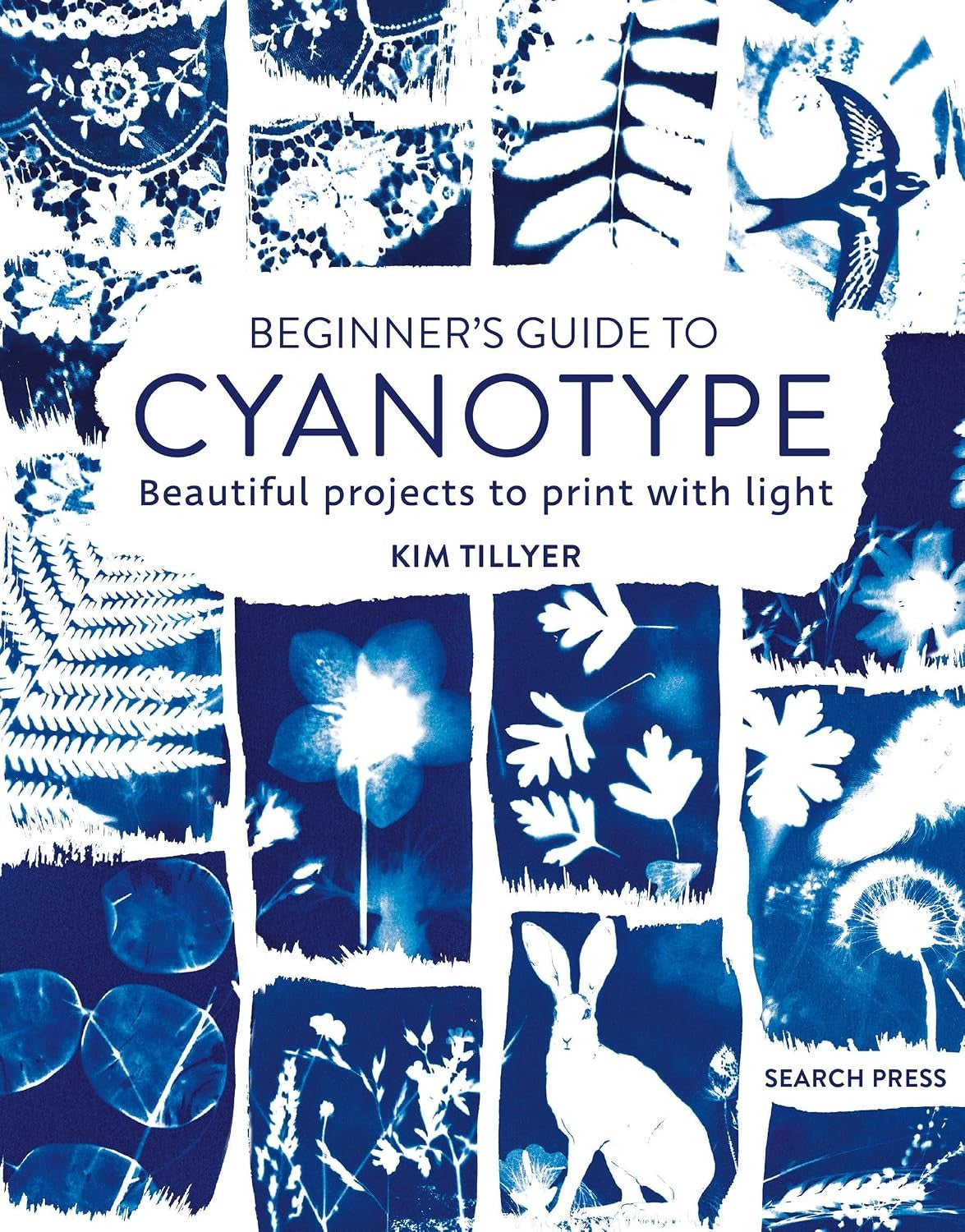Cyanotype Beginners Guide