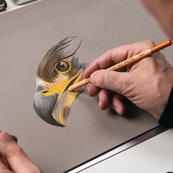 Cretacolor Eagle Drawing Set of 12