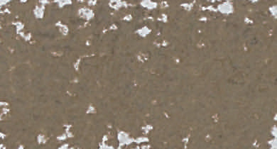 Richeson Medium Soft Pastel Box of 6 - Grey & Earth Colours - Single Colour