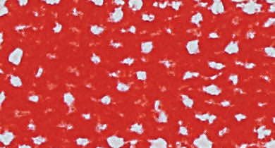 Richeson Medium Soft Pastel Box of 6 - Red Colours - Single Colour
