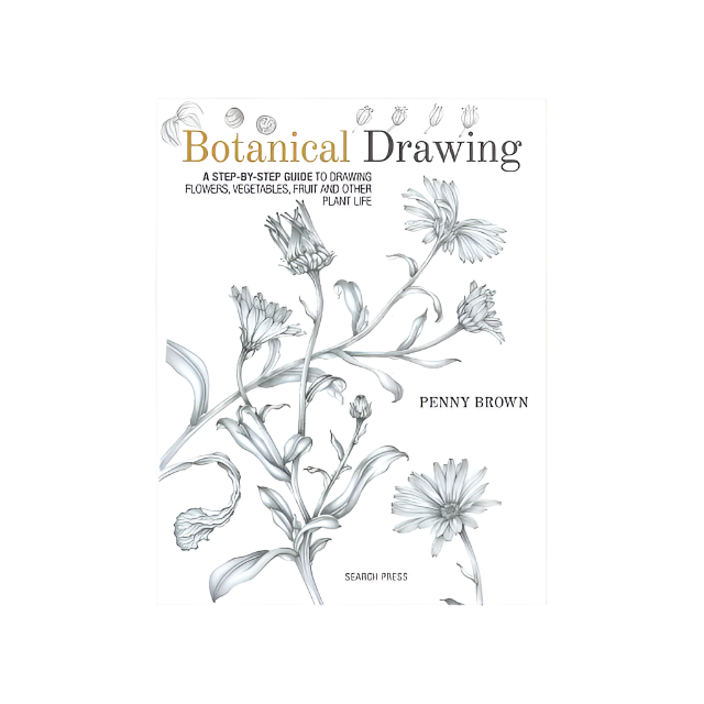 Botanical Drawing - Penny Brown