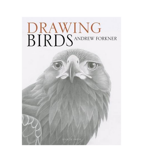 Drawing Birds - Andrew Forkner